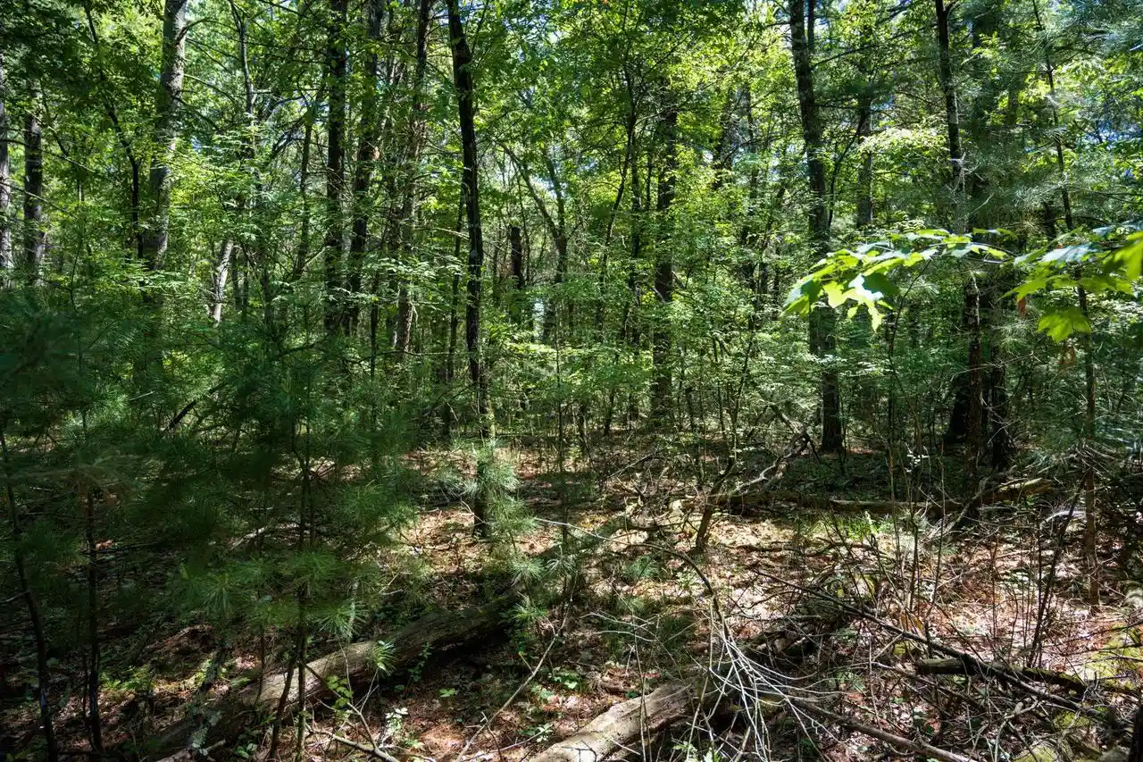 3rd image of Lot 132 19Th Pass Pass, Arkdale, WI 54613 | MLS# 2024371