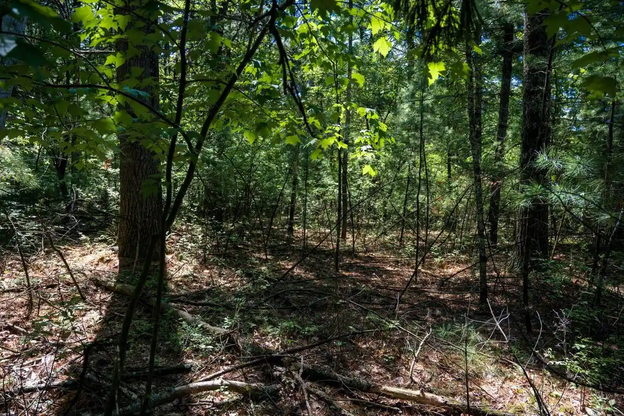 4th image of Lot 132 19Th Pass Pass, Arkdale, WI 54613 | MLS# 2024371