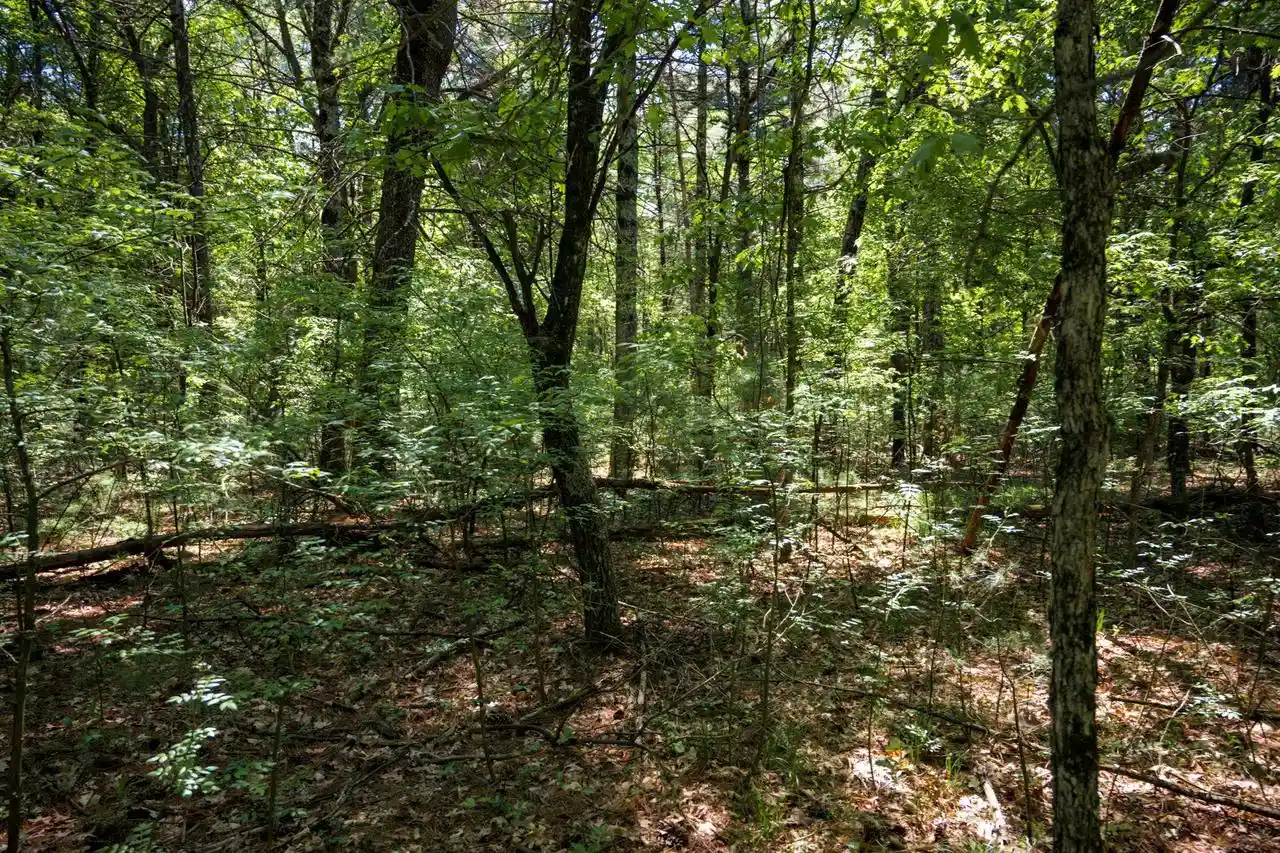 5th image of Lot 132 19Th Pass Pass, Arkdale, WI 54613 | MLS# 2024371
