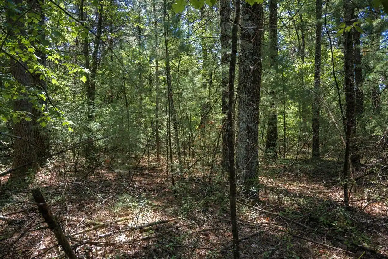 Homes for sale in Arkdale, WI | Lot 132 19th Pass Pass, Arkdale, WI 54613 | MLS# 2024371