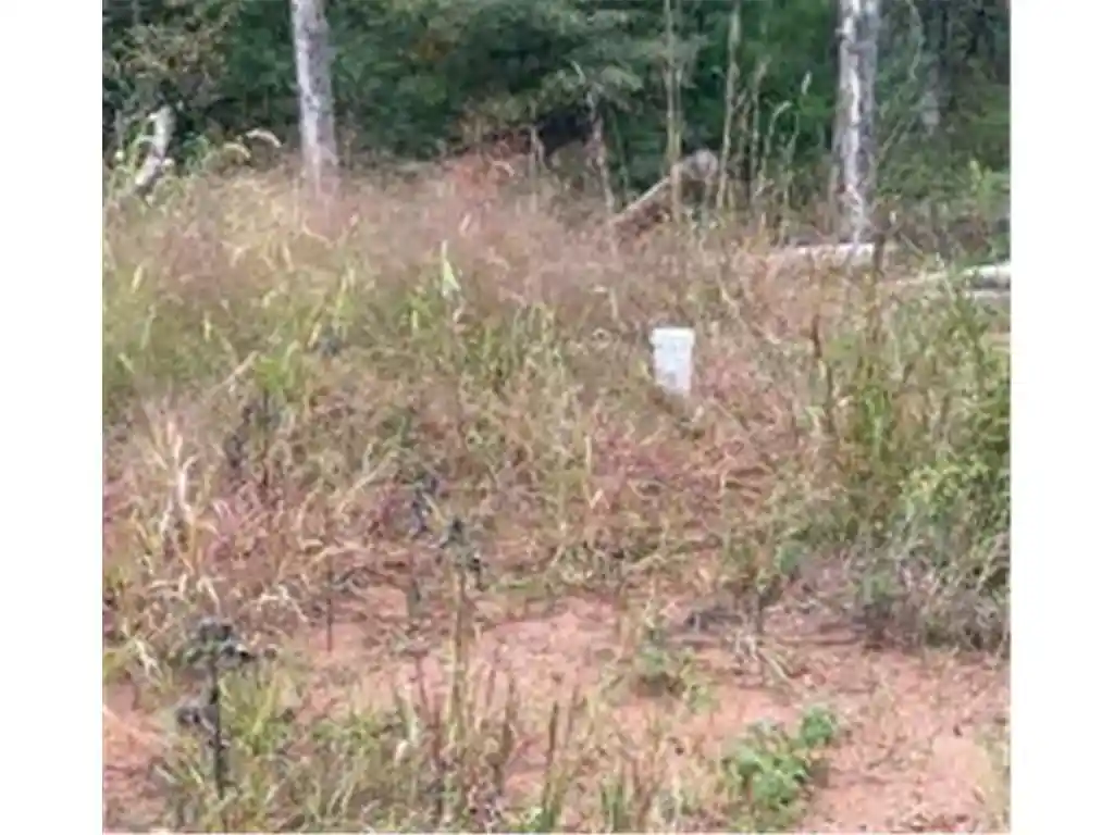 5th image of 21030 Cemetery Road Road, Grantsburg, WI 54840 | MLS# 7081753