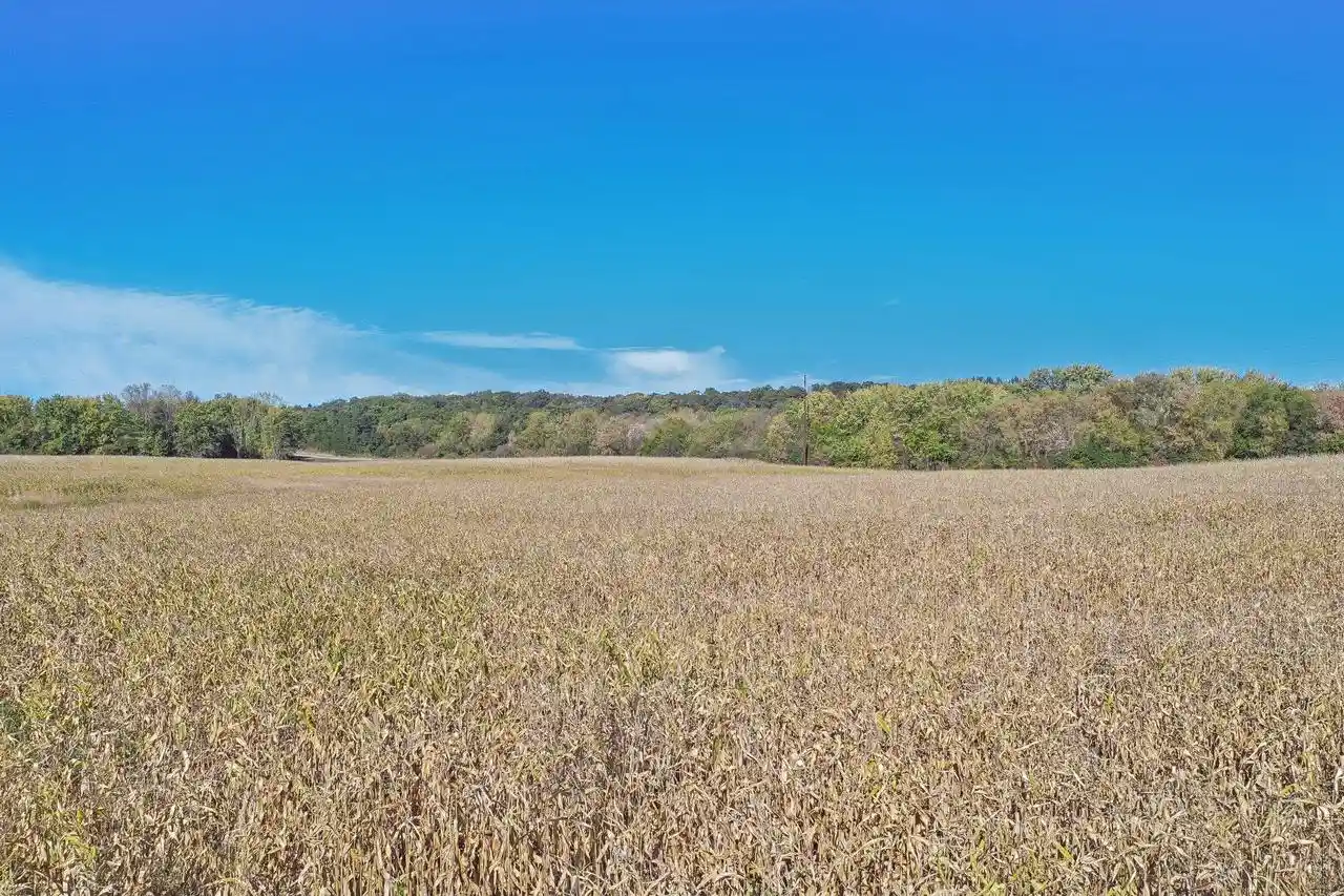 Homes for sale in Merrimac, WI | 1826 Ac Hwy 78, Merrimac, WI 53561 | MLS# 2024449