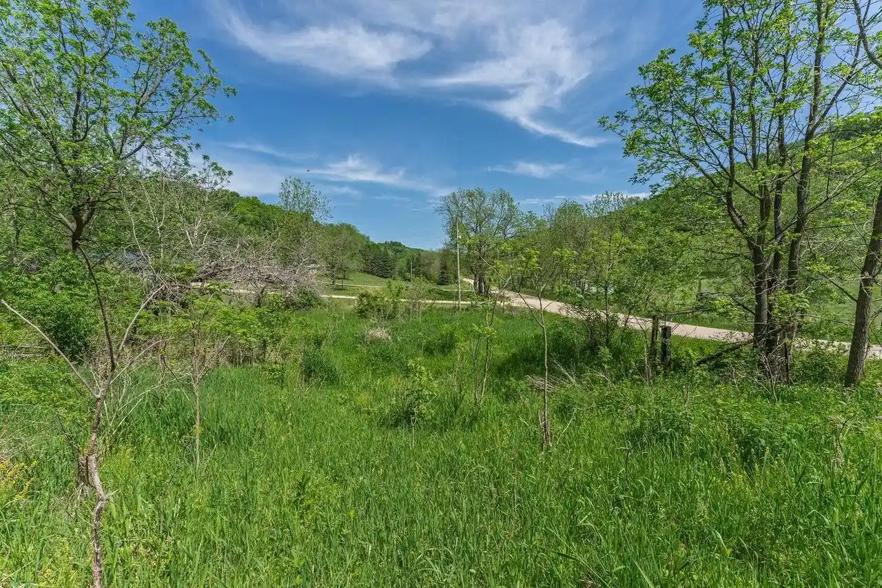Homes for sale in Cazenovia, WI | Dog Hollow Road Road, Cazenovia, WI 53924 | MLS# 2024485