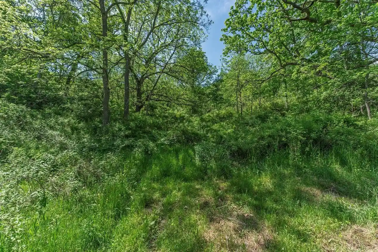 Homes for sale in Cazenovia, WI | Dog Hollow Road Road, Cazenovia, WI 53924 | MLS# 2024485