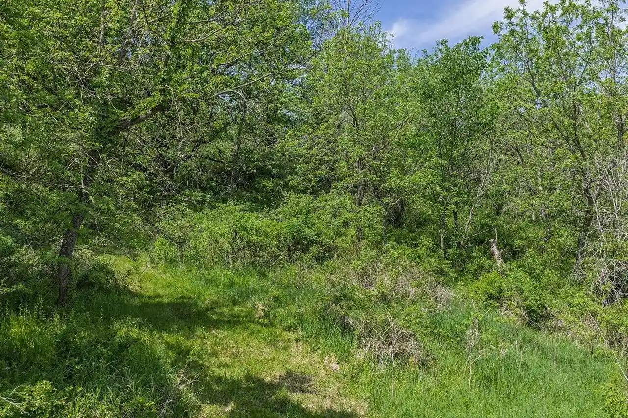 Homes for sale in Cazenovia, WI | Dog Hollow Road Road, Cazenovia, WI 53924 | MLS# 2024485