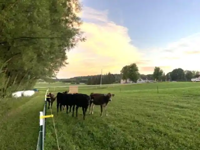Homes for sale in Watertown, WI | Lot 3 Smith Road Road, Watertown, WI 53098 | MLS# 1964732