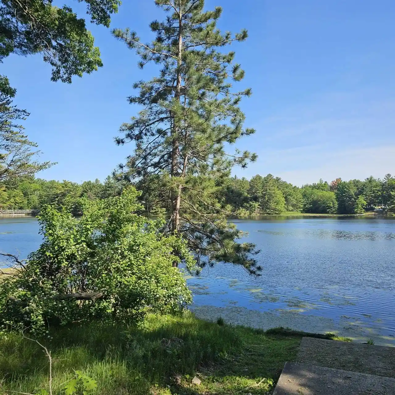 Homes for sale in Wisconsin Dells, WI | 558 Blass Lake Dr Dr, Wisconsin Dells, WI 53965 | MLS# 2024504