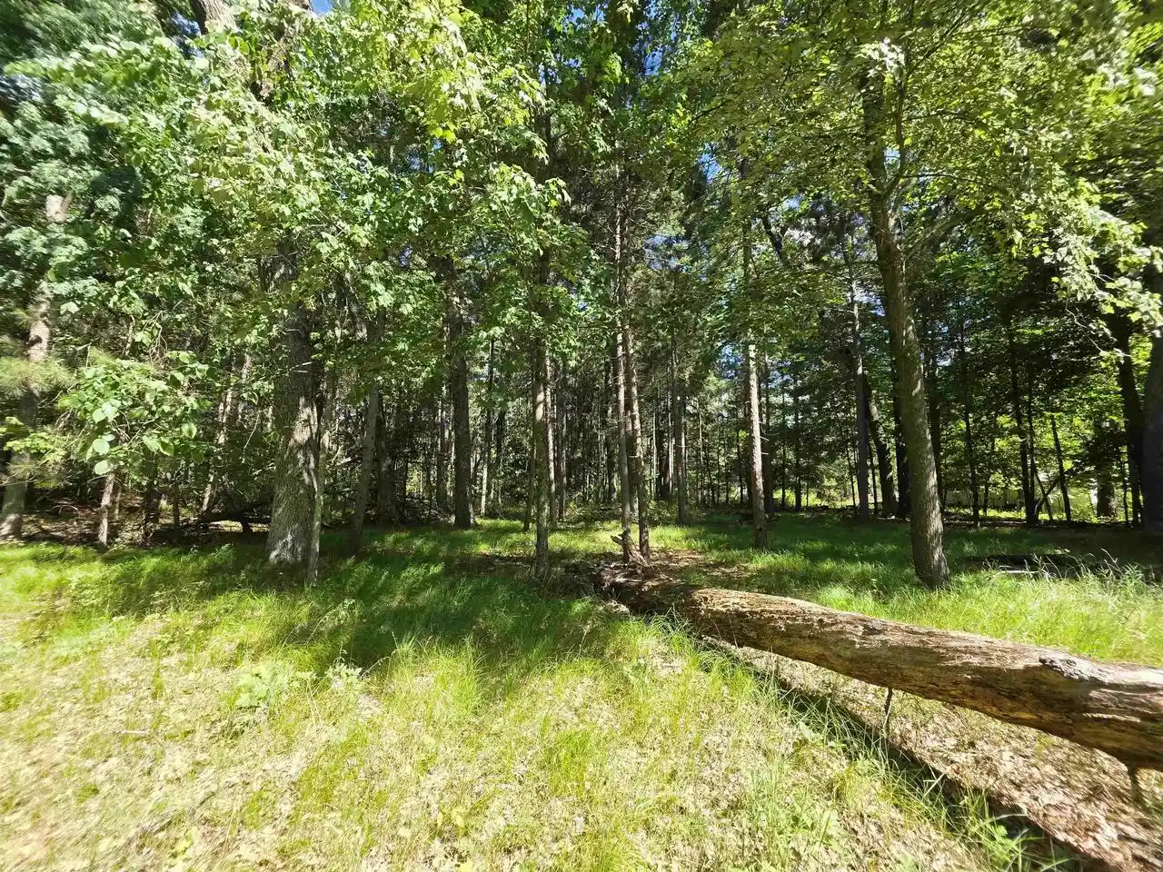 Homes for sale in Friendship, WI | Lot 4 Czech Court Court, Friendship, WI 53934 | MLS# 2024517