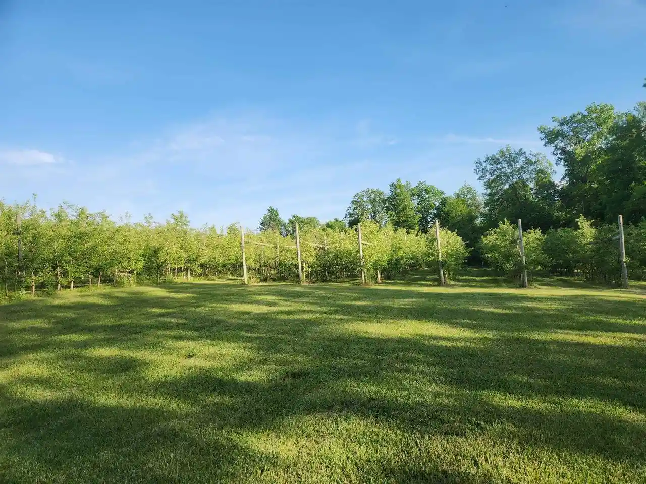 Homes for sale in Hillsboro, WI | 16318 E County Road V Road Road, Hillsboro, WI 54634 | MLS# 2024618