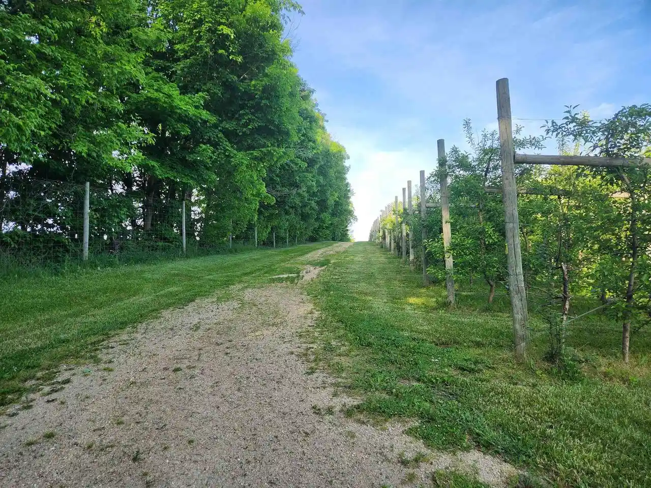 Homes for sale in Hillsboro, WI | 16318 E County Road V Road Road, Hillsboro, WI 54634 | MLS# 2024618