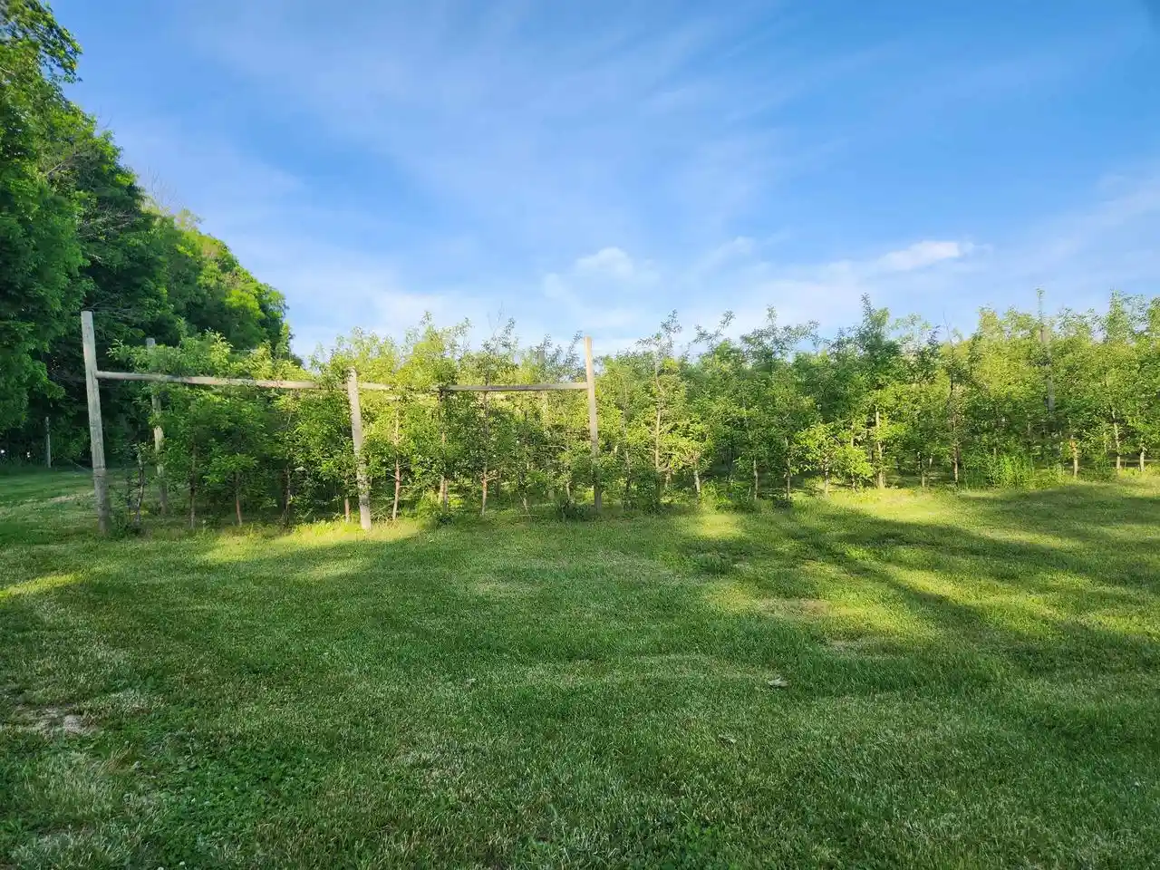 Homes for sale in Hillsboro, WI | 16318 E County Road V Road Road, Hillsboro, WI 54634 | MLS# 2024618