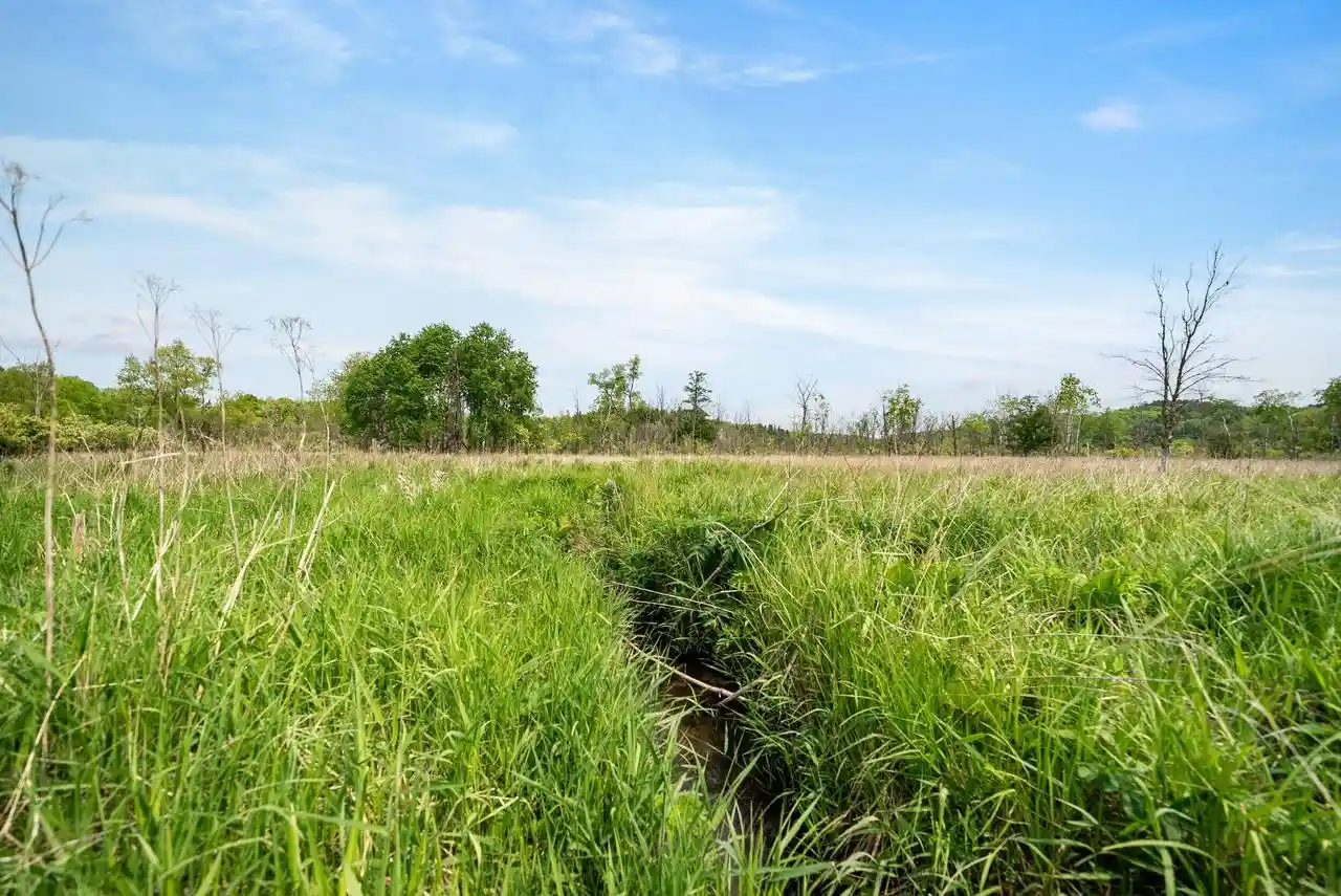 Homes for sale in Hartford, WI | 120 Ac County Hwy E, Hartford, WI 53027 | MLS# 1965002