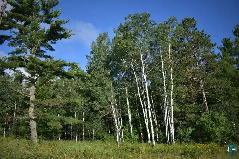 Photo 51 of Land for sale at 30xxx Brevak Rd Rd, Washburn, WI 54891 | MLS# 6125721 | Listing updated on 2026-07-20