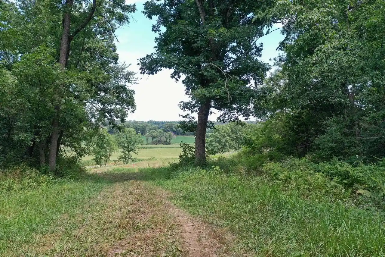 3rd image of 1147 Acres County Road Jg, Mount Horeb, WI 53572 | MLS# 2024694