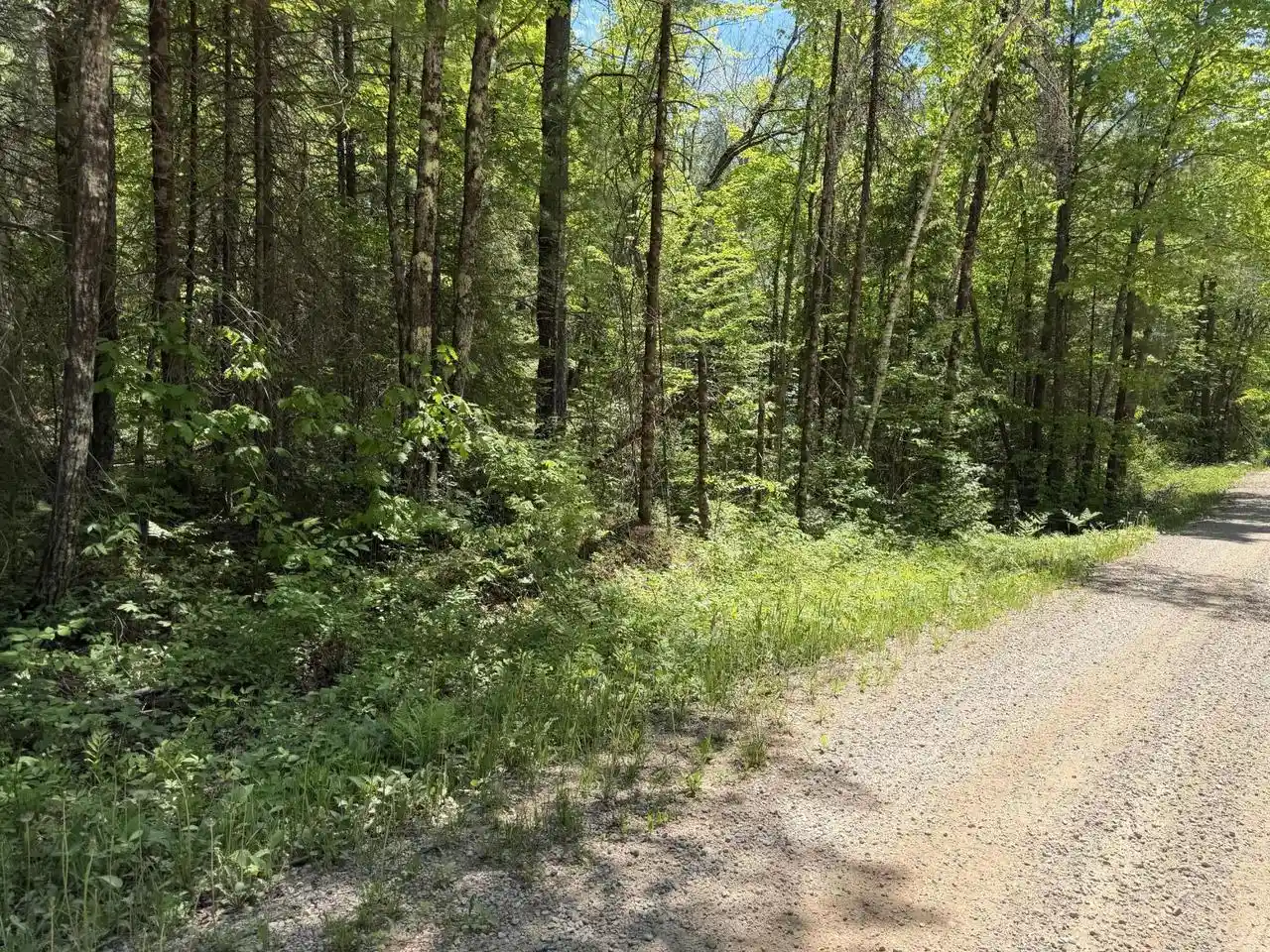 Homes for sale in Amberg, WI | Lot1 Westberg Road Road, Amberg, WI 54102 | MLS# 1965107