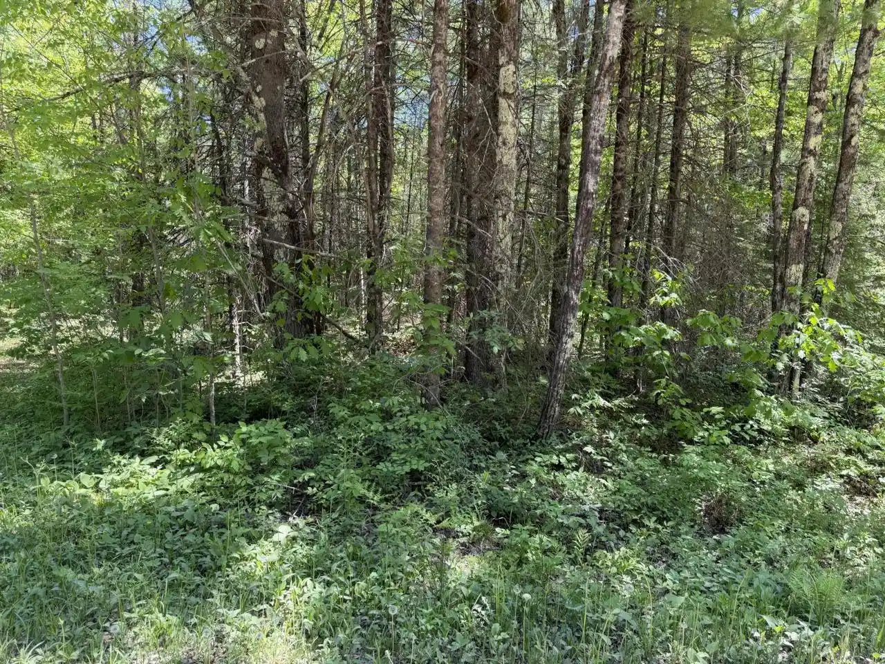 Homes for sale in Amberg, WI | Lot1 Westberg Road Road, Amberg, WI 54102 | MLS# 1965107