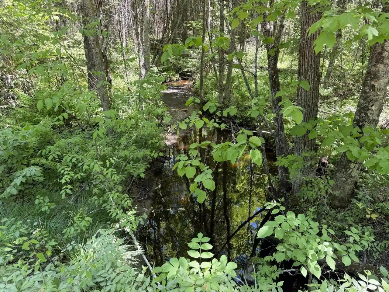 Homes for sale in Amberg, WI | Lot1 Westberg Road Road, Amberg, WI 54102 | MLS# 1965107
