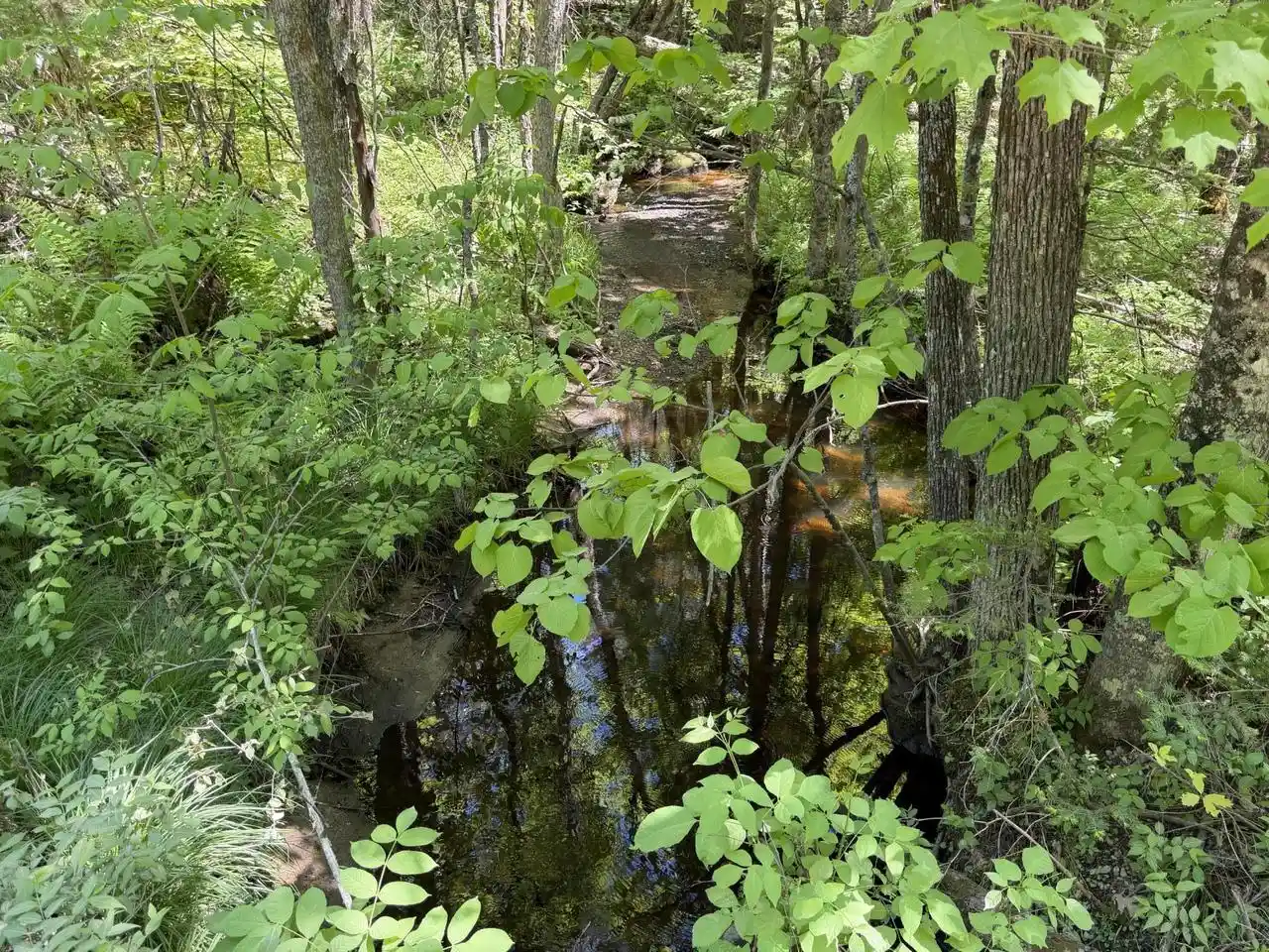 Homes for sale in Amberg, WI | Lot1 Westberg Road Road, Amberg, WI 54102 | MLS# 1965107