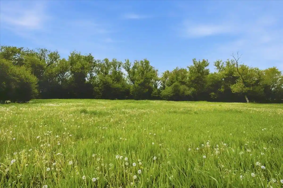 Photo 3 of Land for sale at 39xx State Line Road Road, Poplar Grove, IL 61065 | MLS# 2024762 | Listing updated on 2026-07-27