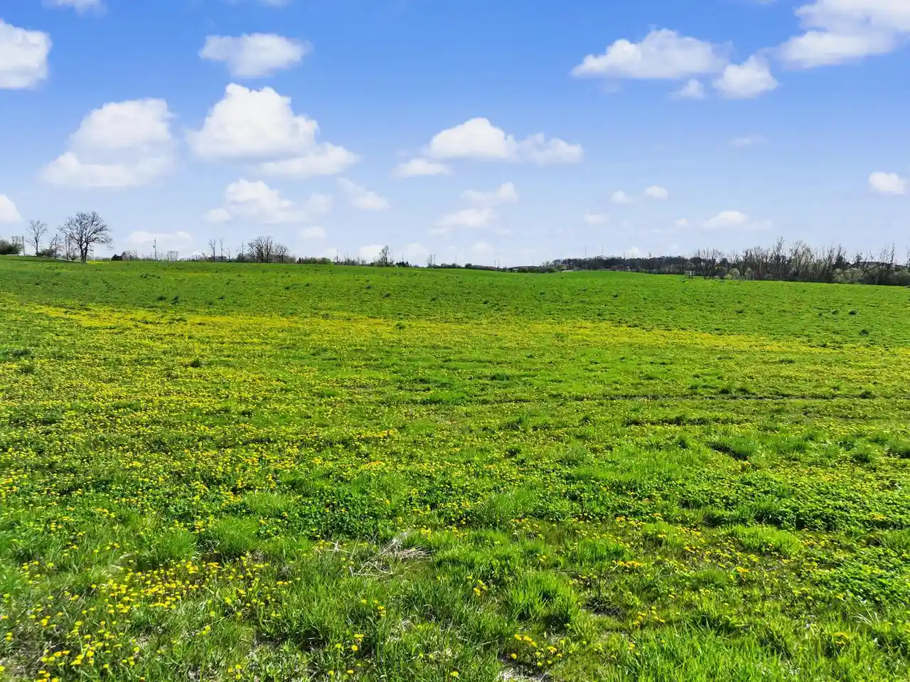 3rd image of Lot 1 E Sauk Road Road, Grafton, WI 53024 | MLS# 1965308