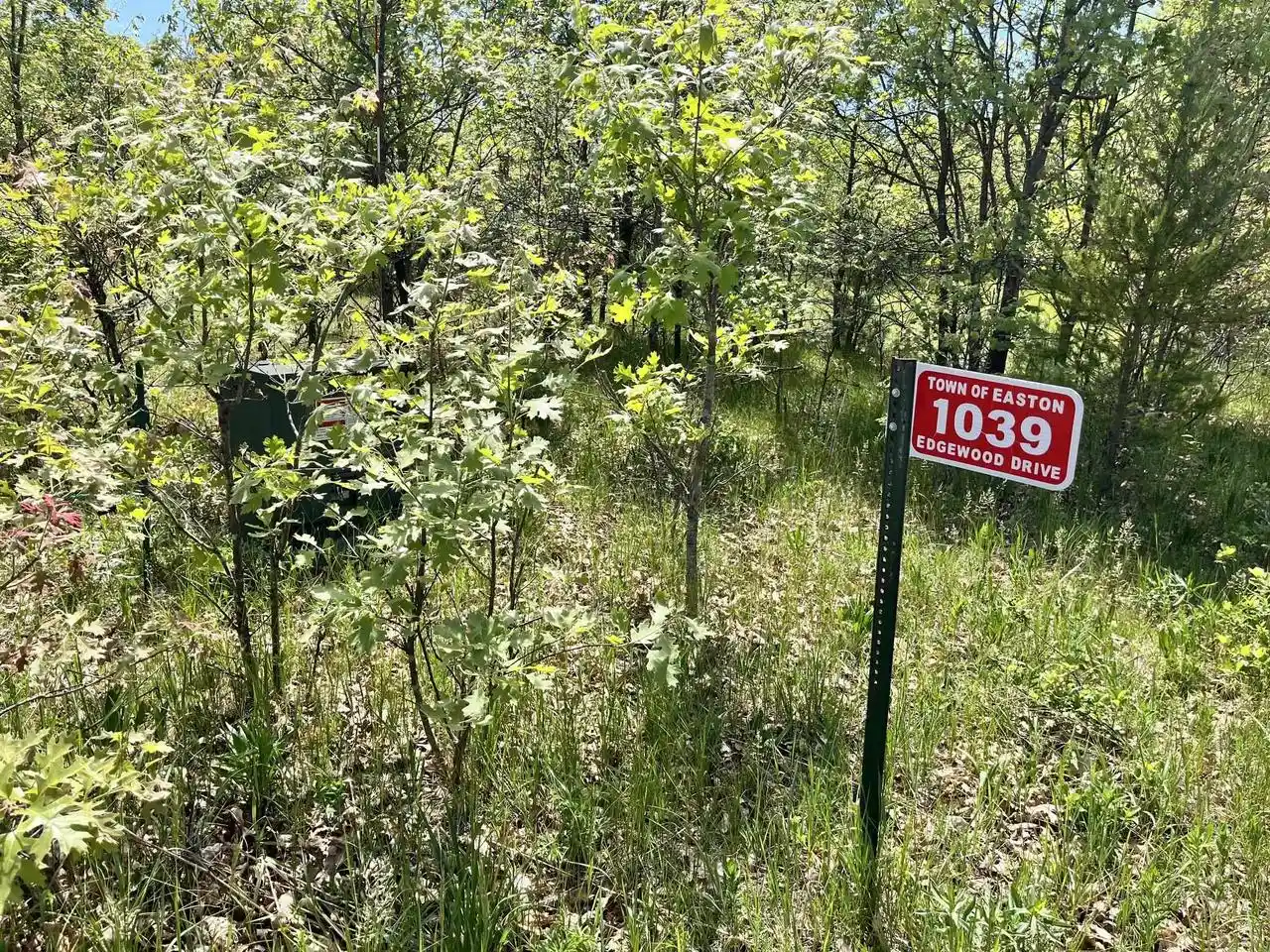 Homes for sale in Adams, WI | 1039 Edgewood Dr Dr, Adams, WI 53910 | MLS# 2024837