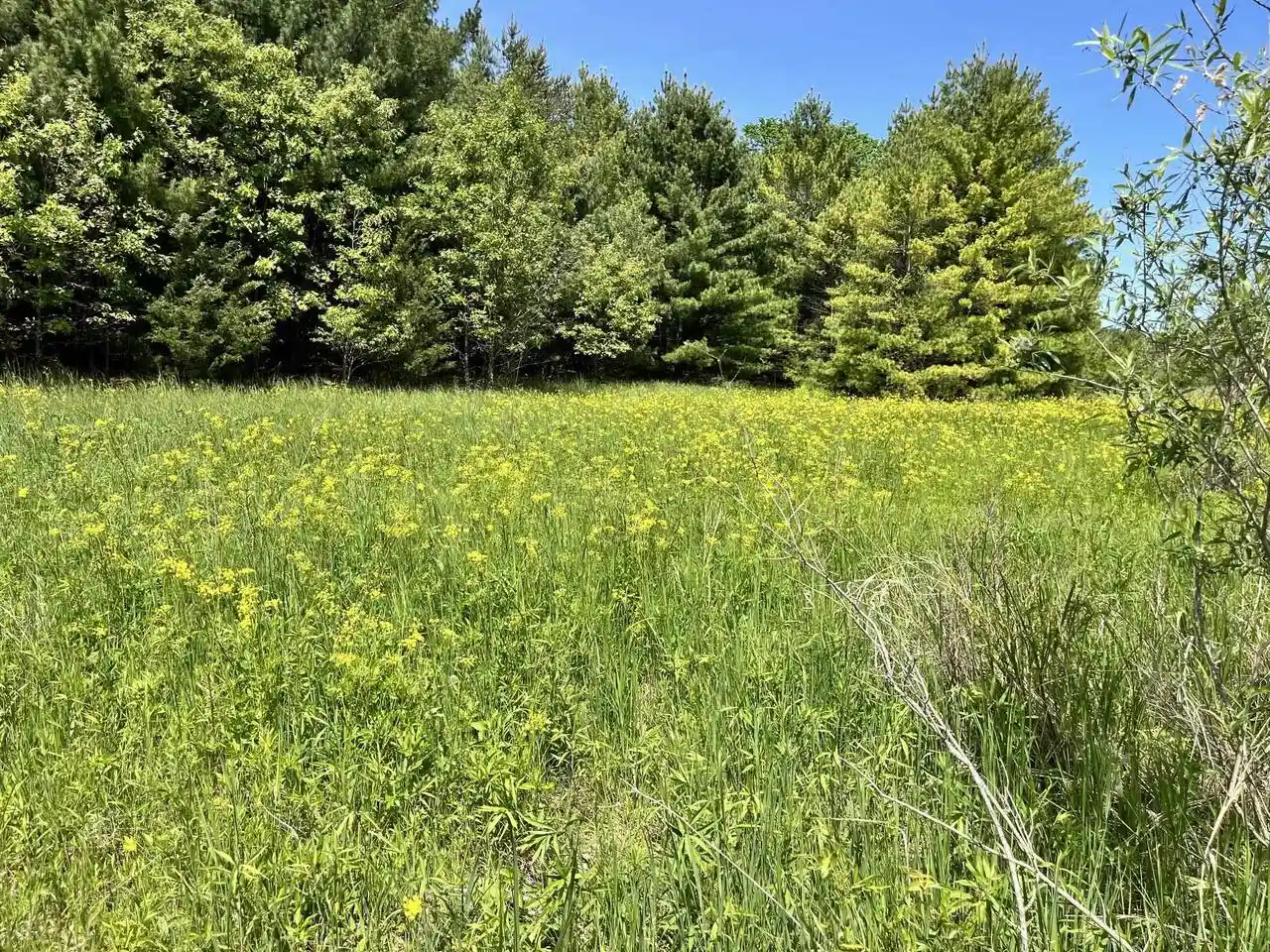 Homes for sale in Adams, WI | 1039 Edgewood Dr Dr, Adams, WI 53910 | MLS# 2024837