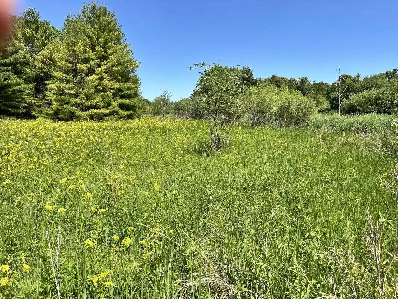 Homes for sale in Adams, WI | 1039 Edgewood Dr Dr, Adams, WI 53910 | MLS# 2024837
