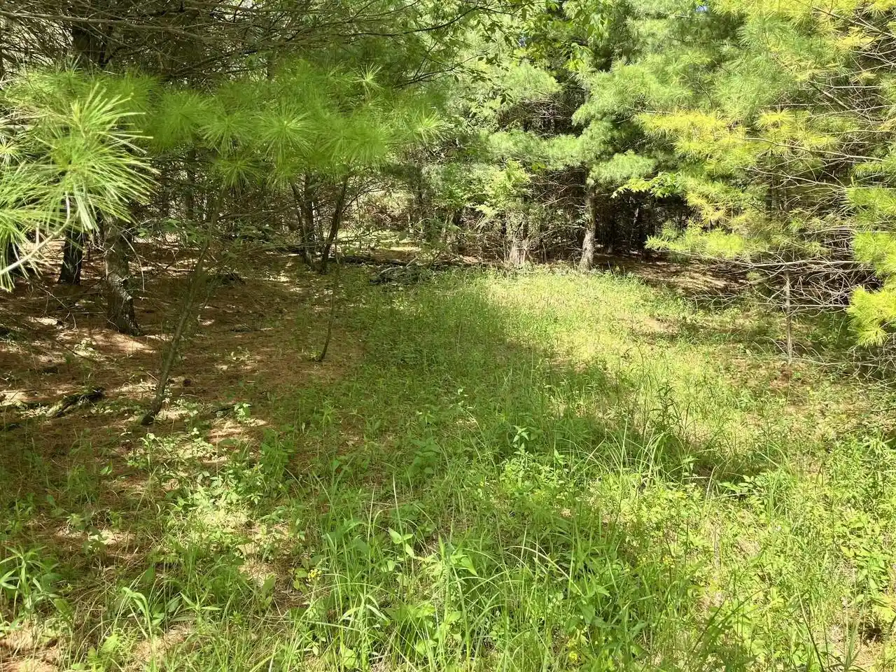 Homes for sale in Adams, WI | 1039 Edgewood Dr Dr, Adams, WI 53910 | MLS# 2024837