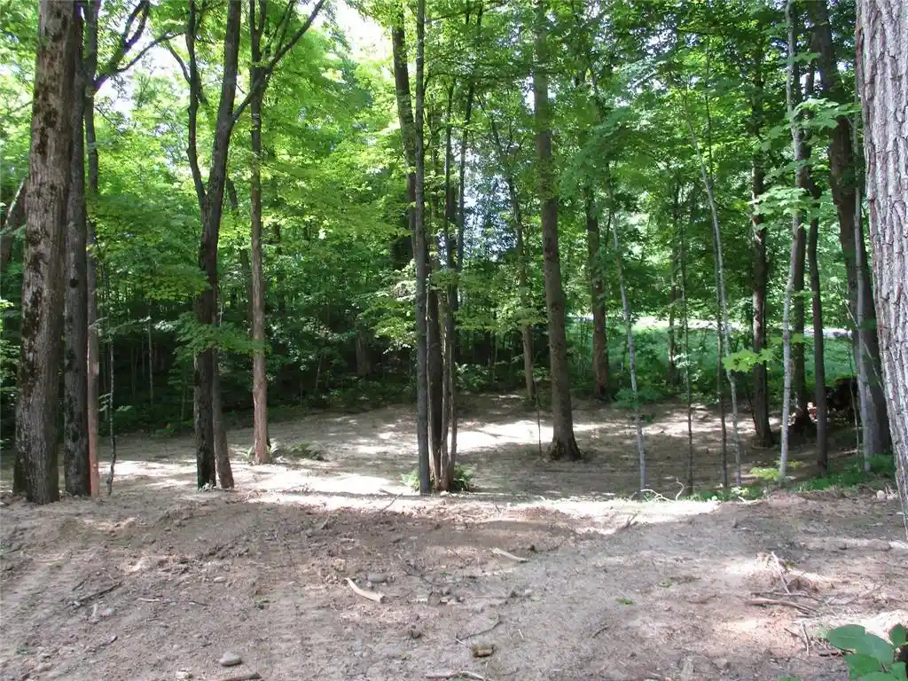 Homes for sale in Birchwood, WI | Lot #58 Stewart /28 Th Street Street, Birchwood, WI 54817 | MLS# 1601865