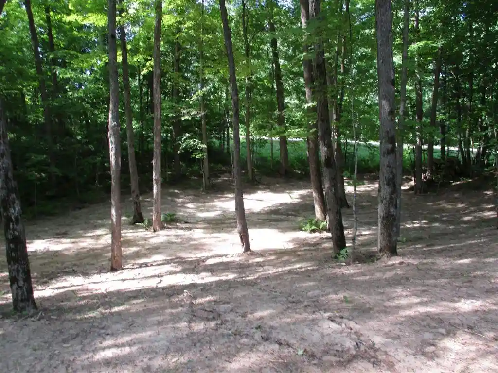 Homes for sale in Birchwood, WI | Lot #58 Stewart /28 Th Street Street, Birchwood, WI 54817 | MLS# 1601865