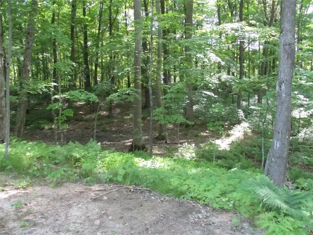 Homes for sale in Birchwood, WI | Lot #58 Stewart /28 Th Street Street, Birchwood, WI 54817 | MLS# 1601865