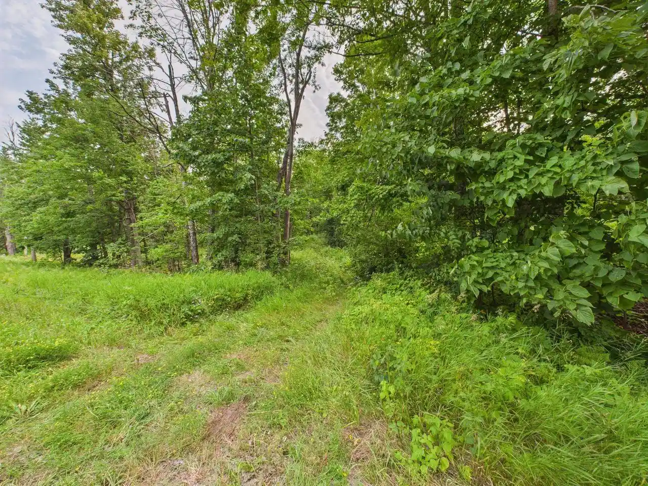 Photo 1 of Land for sale at Hwy 139, Argonne, WI 54511 | MLS# 50326780 | Listing updated on 2026-06-05