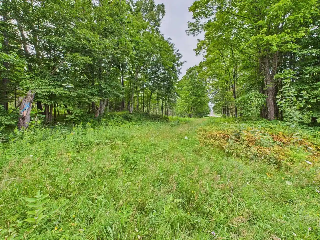 Photo 3 of Land for sale at Hwy 139, Argonne, WI 54511 | MLS# 50326780 | Listing updated on 2026-06-05