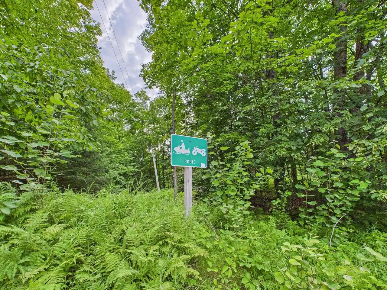 Photo 4 of Land for sale at Hwy 139, Argonne, WI 54511 | MLS# 50326780 | Listing updated on 2026-06-05