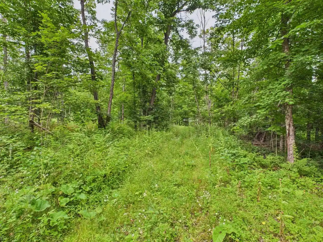 Photo 16 of Land for sale at Hwy 139, Argonne, WI 54511 | MLS# 50326780 | Listing updated on 2026-06-05