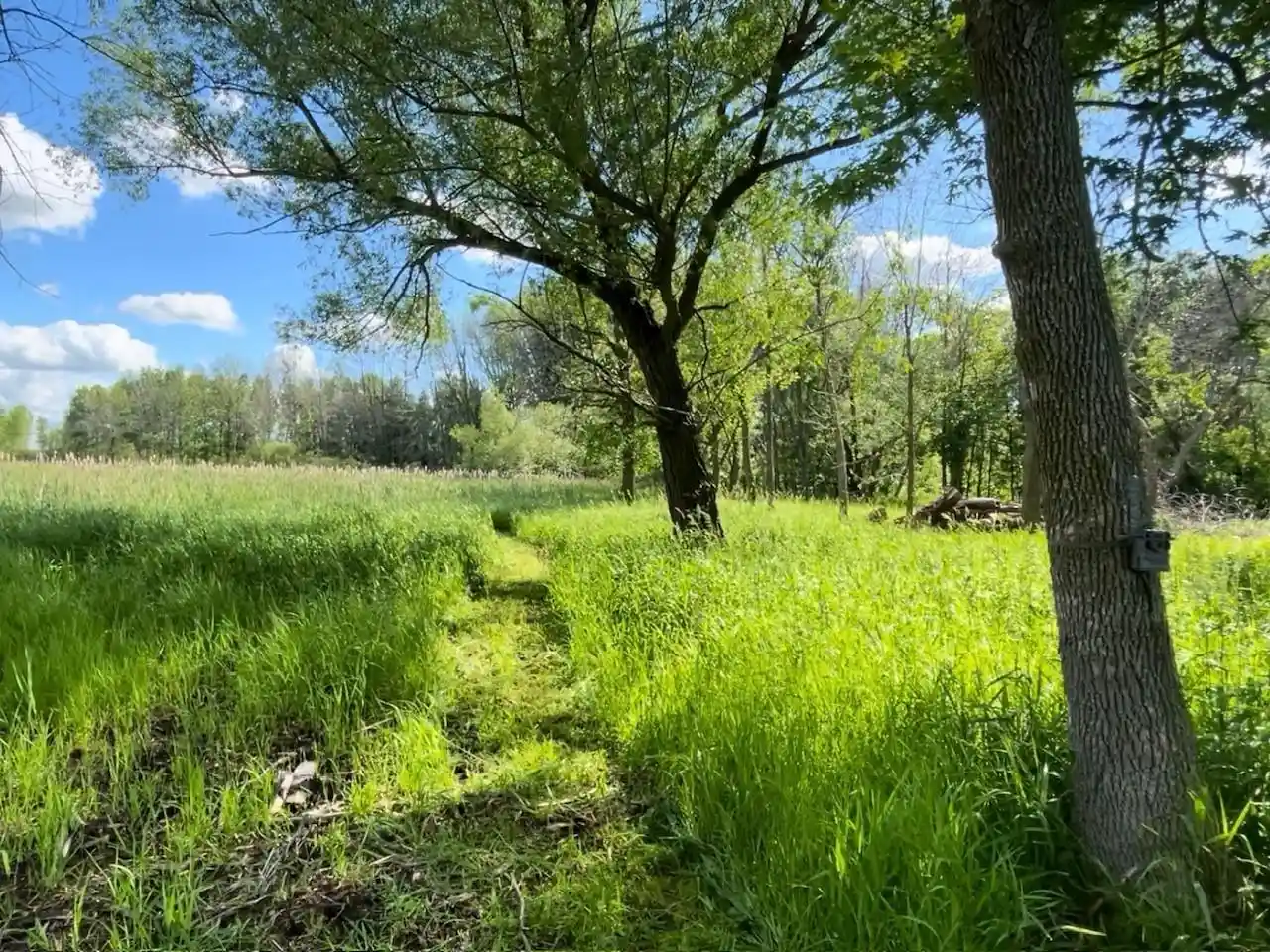 Homes for sale in Winneconne, WI | County Rd B, Winneconne, WI 54986 | MLS# 50326836