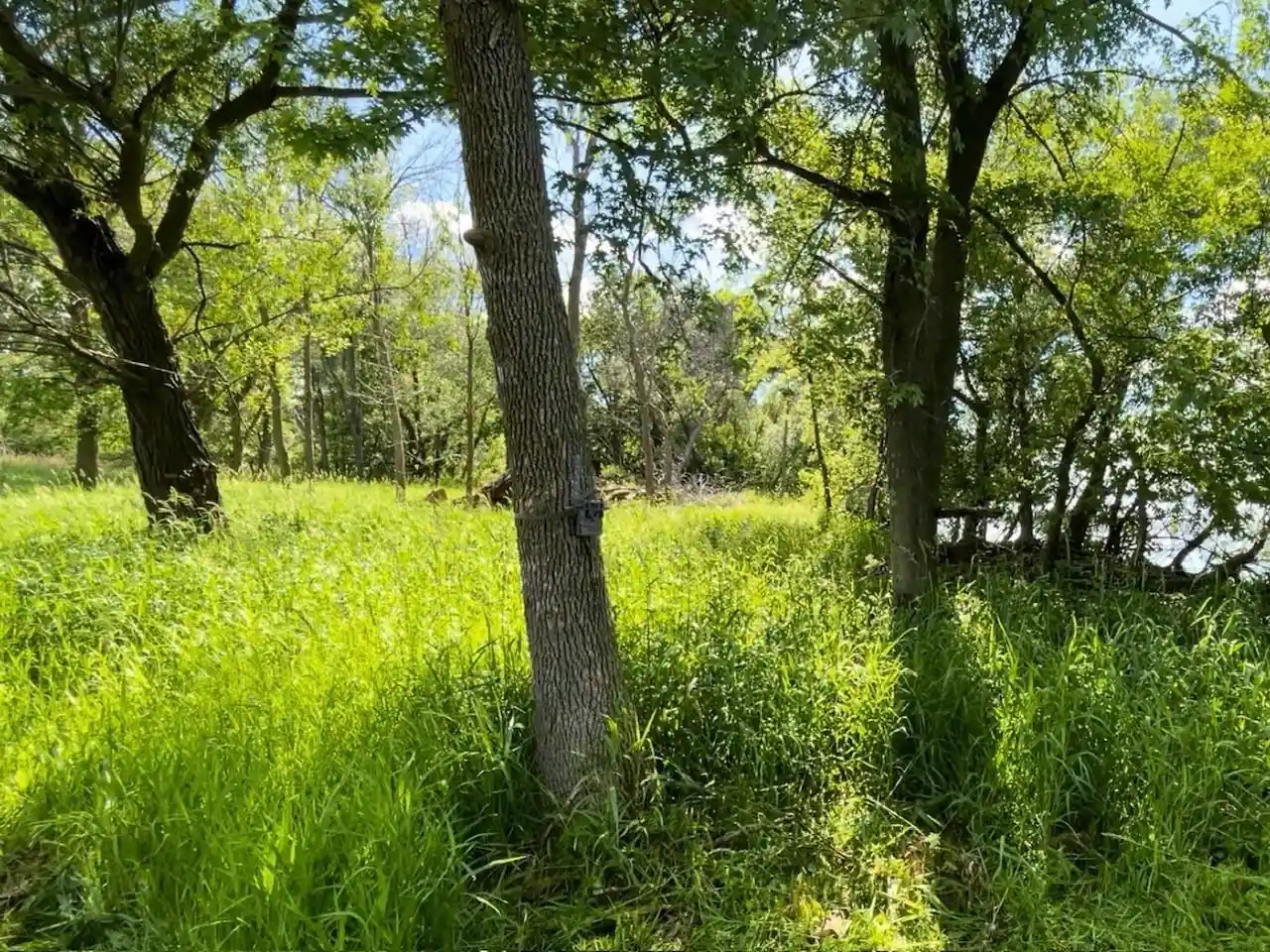 Photo 3 of Land for sale at County Rd B, Winneconne, WI 54986 | MLS# 50326836 | Listing updated on 2026-06-05