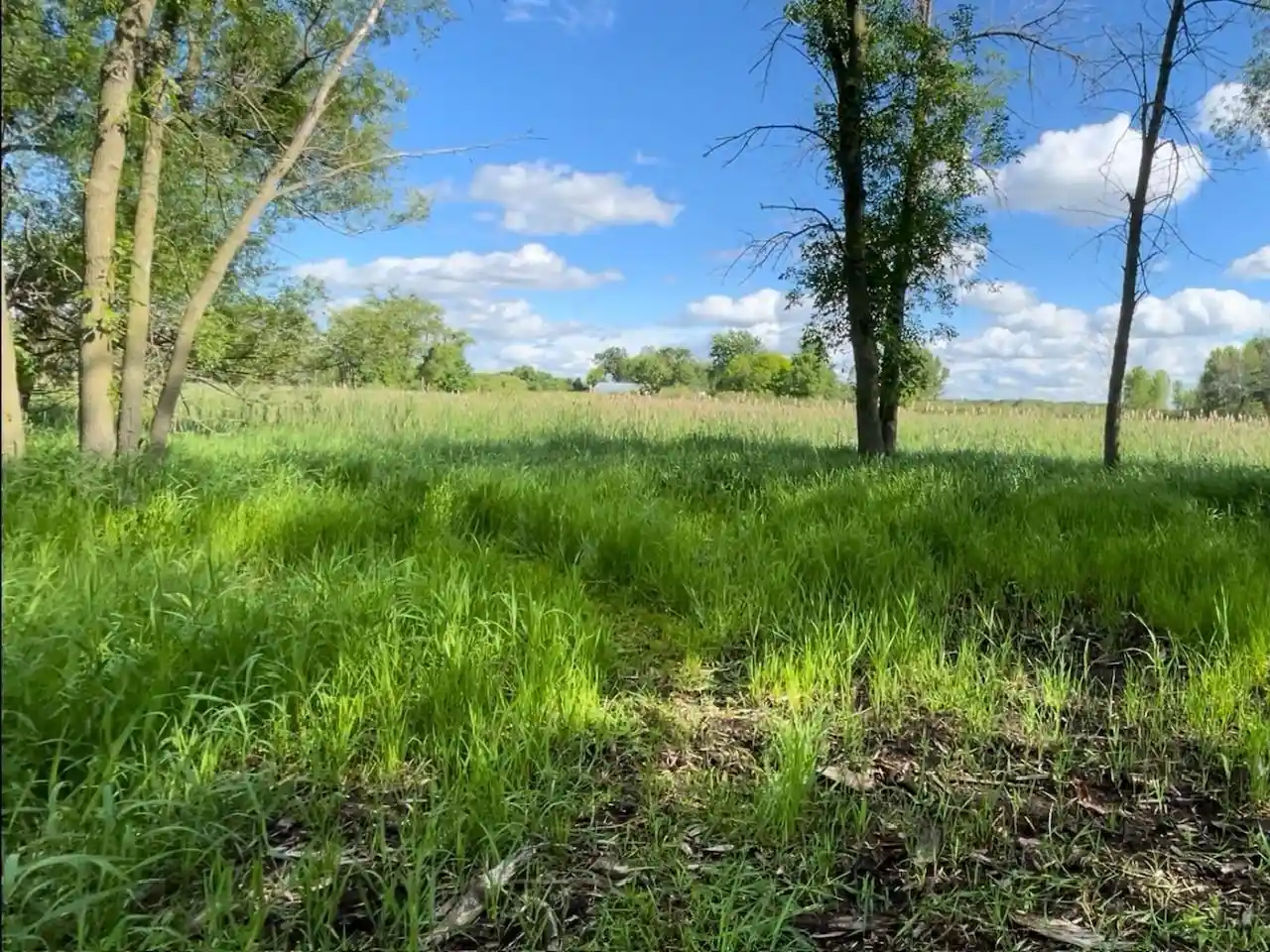 Photo 4 of Land for sale at County Rd B, Winneconne, WI 54986 | MLS# 50326836 | Listing updated on 2026-06-05