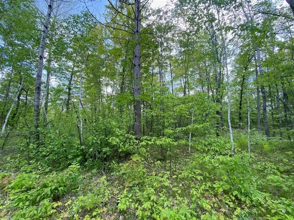 Homes for sale in Chicog, WI | 0 Hustvet Dr Dr, Chicog, WI 54888 | MLS# 1601910