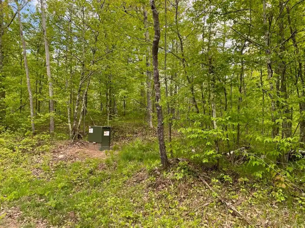 Homes for sale in Chicog, WI | 00 Hustvet Dr Dr, Chicog, WI 54888 | MLS# 1601911