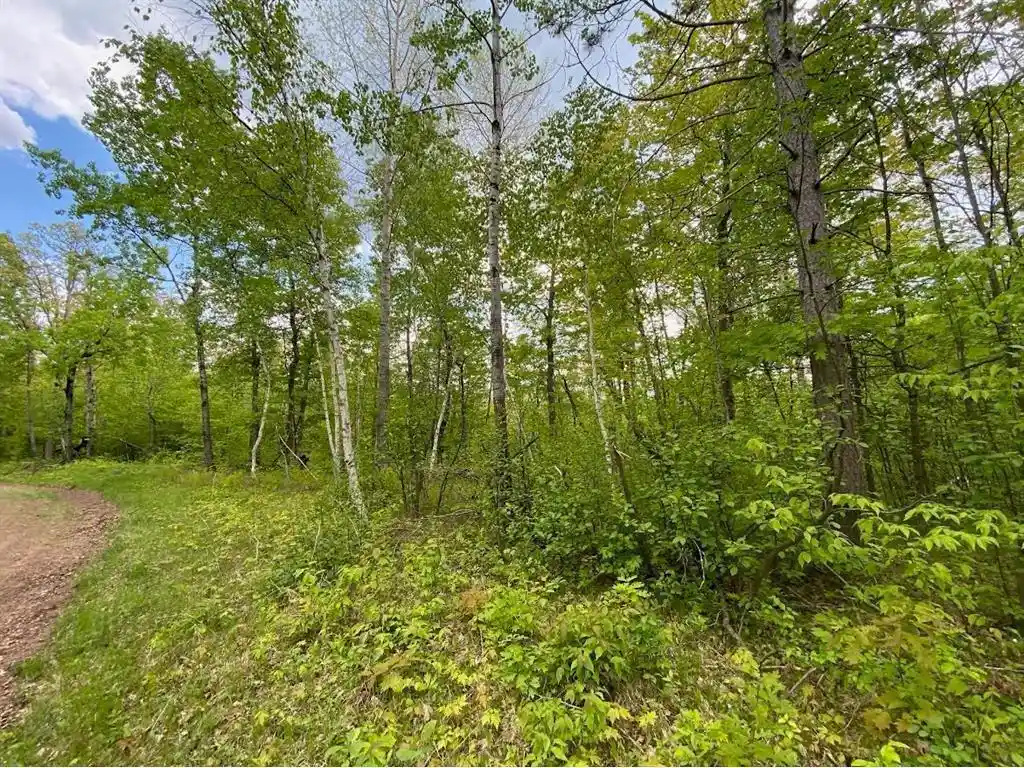 Photo 2 of Land for sale at 000 Hustvet, Trego, WI 54888 | MLS# 7087028 | Listing updated on 2026-08-11