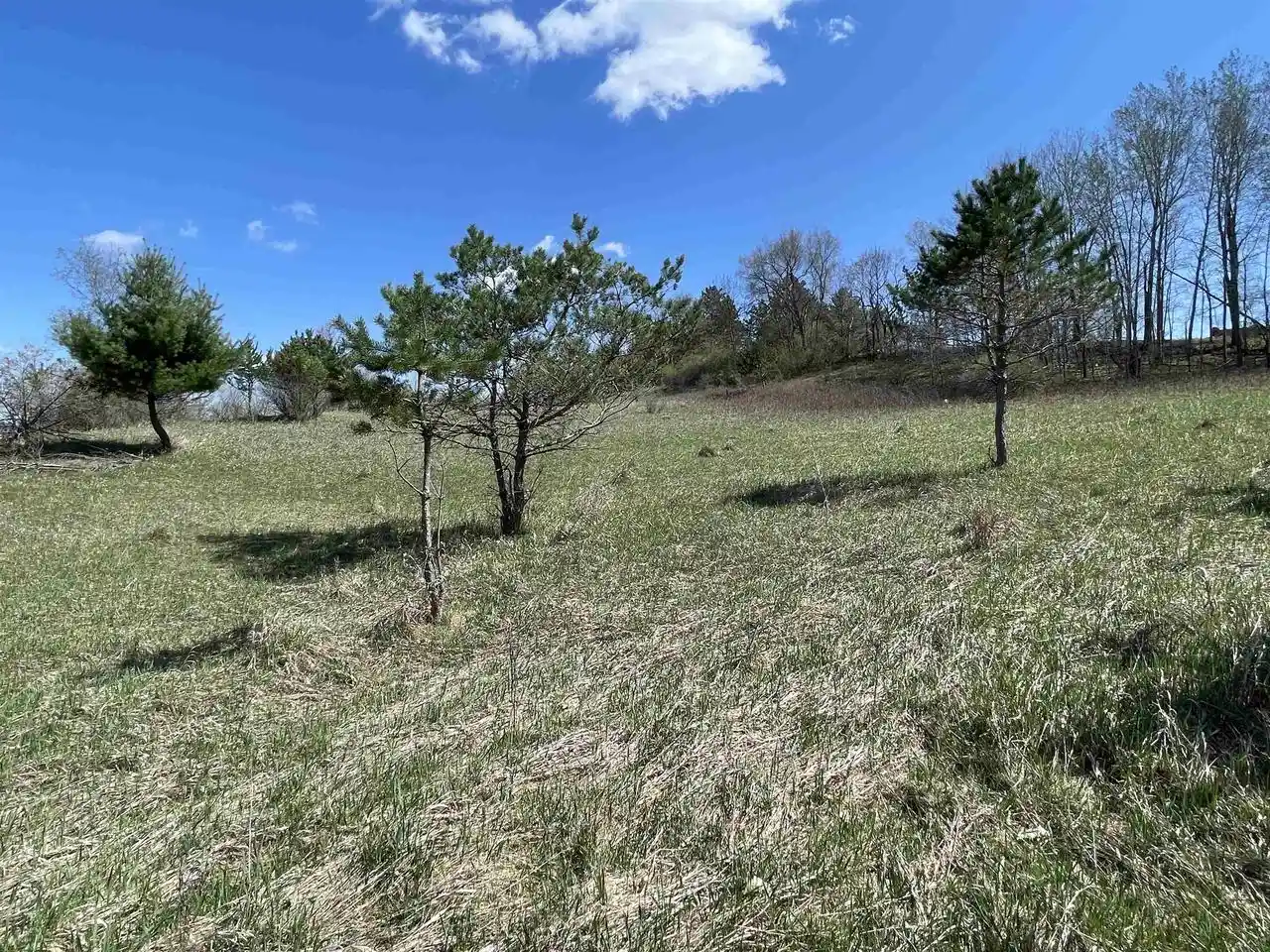 Homes for sale in La Valle, WI | Lot 223 Alpine Black Forest Dr Dr, La Valle, WI 53941 | MLS# 2025096