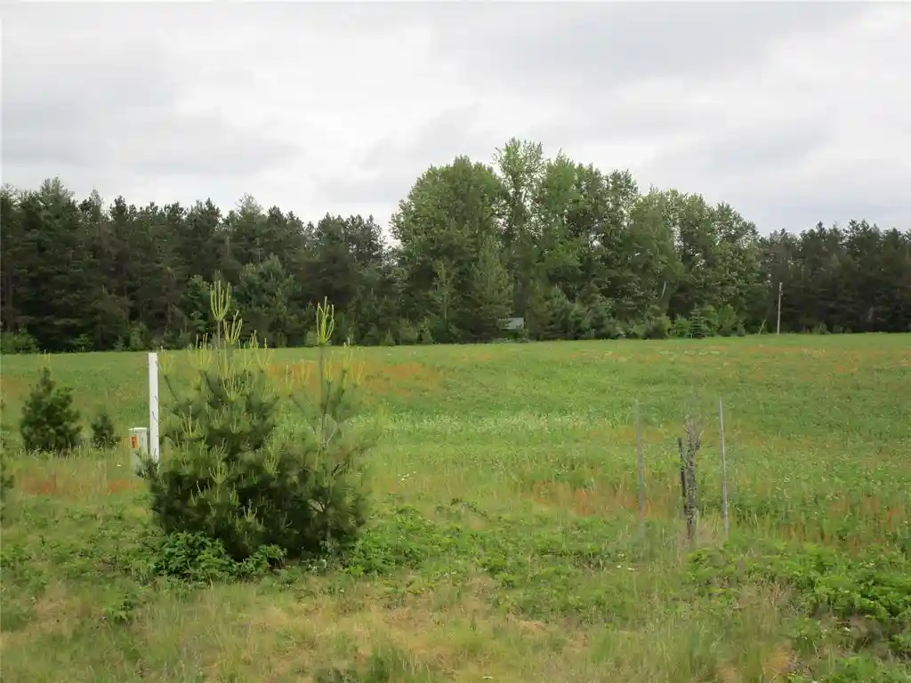 Homes for sale in Ladysmith, WI | Xx River Pine Dr, Ladysmith, WI 54848 | MLS# 1601918