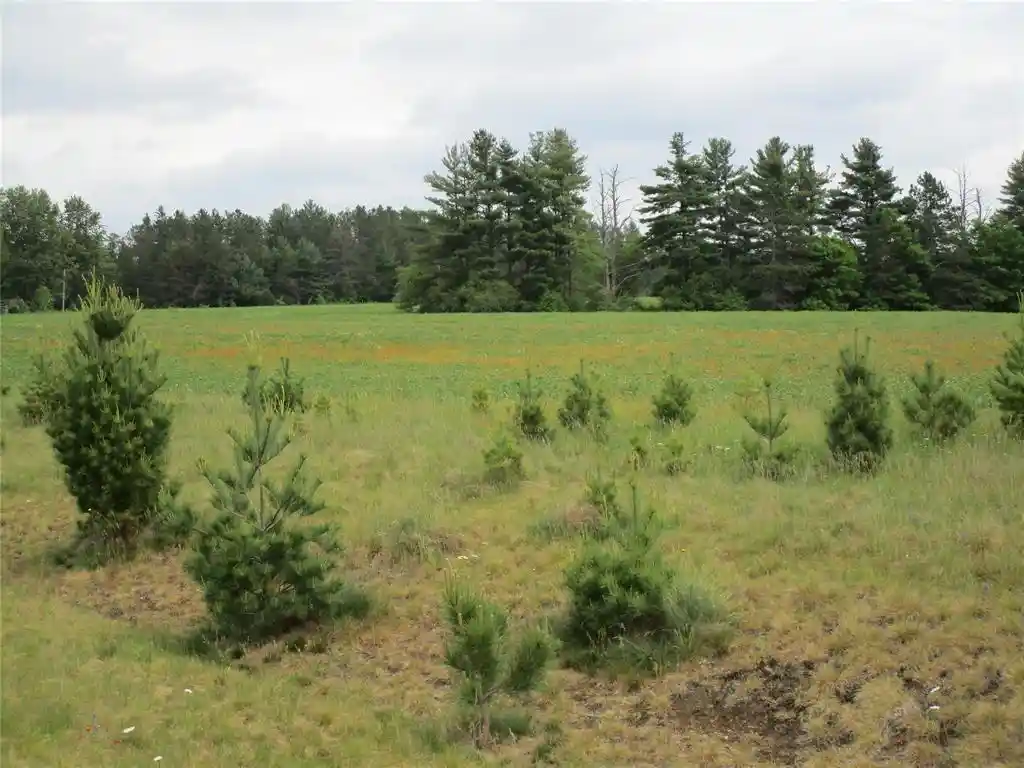 Homes for sale in Ladysmith, WI | Xxx River Pines Dr, Ladysmith, WI 54848 | MLS# 1601947