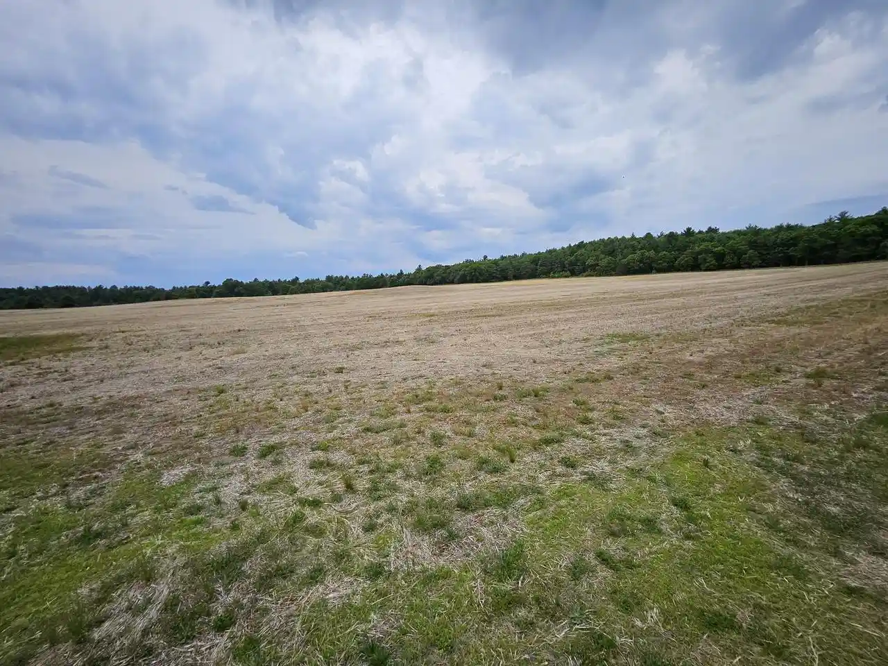 Homes for sale in Warrens, WI | 1504 Atom Road Road, Warrens, WI 54666 | MLS# 1965943
