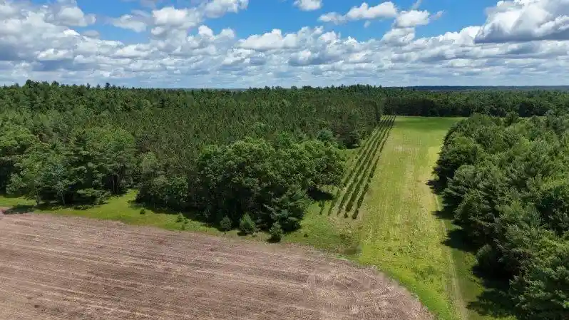 Homes for sale in Warrens, WI | 1504 Atom Road Road, Warrens, WI 54666 | MLS# 1965943