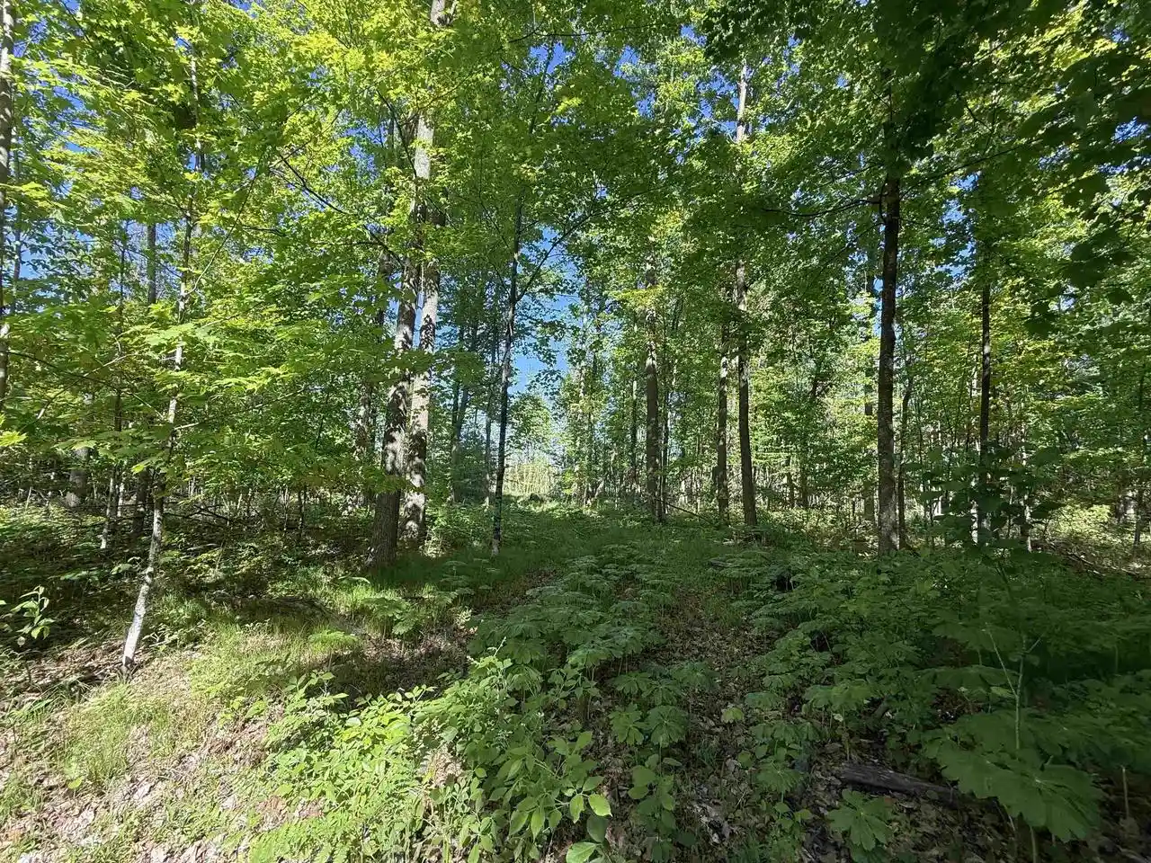 Homes for sale in Bonduel, WI | N5610 Resort Road Road, Bonduel, WI 54107 | MLS# 50326941