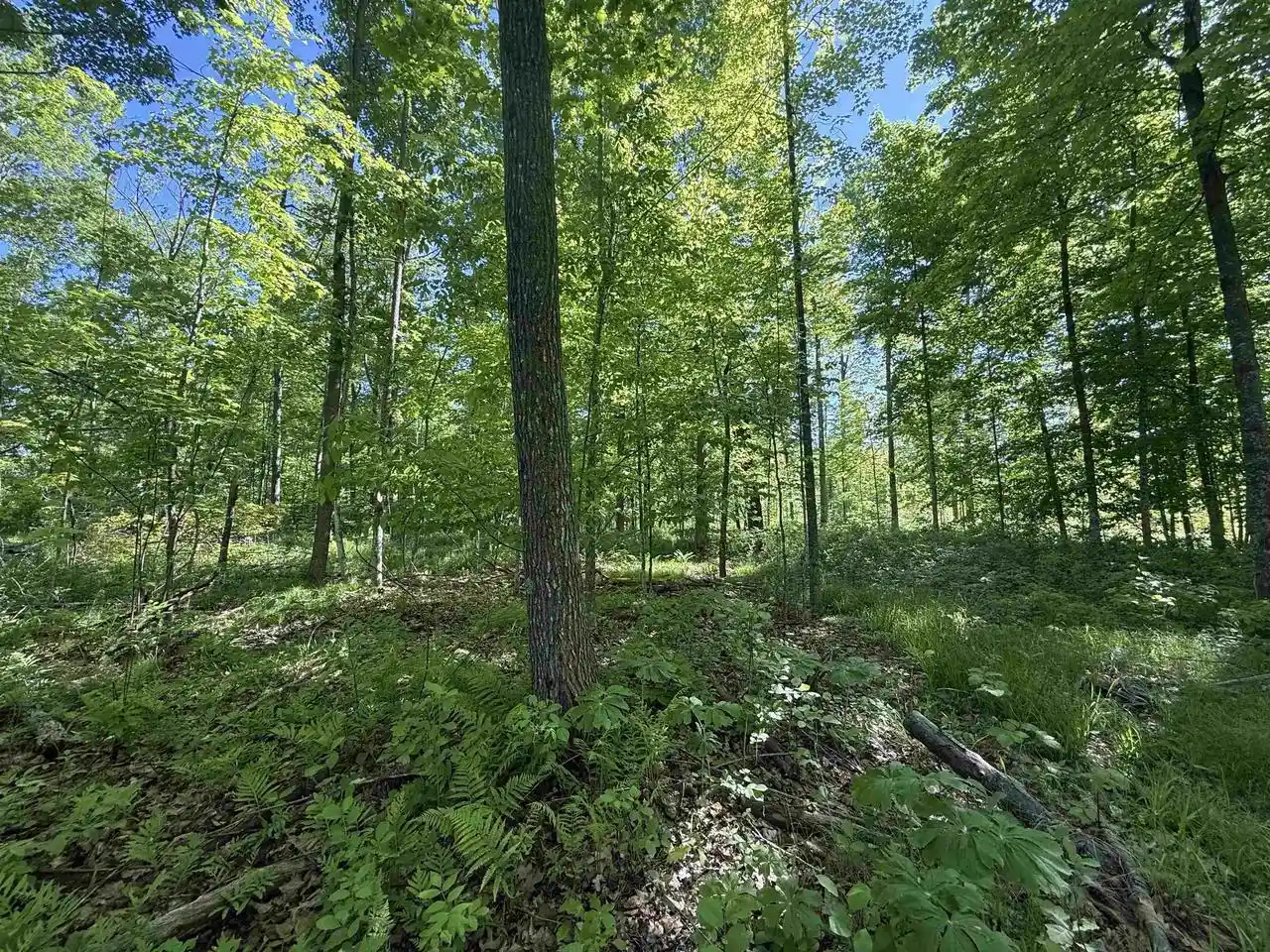 Homes for sale in Bonduel, WI | N5610 Resort Road Road, Bonduel, WI 54107 | MLS# 50326941