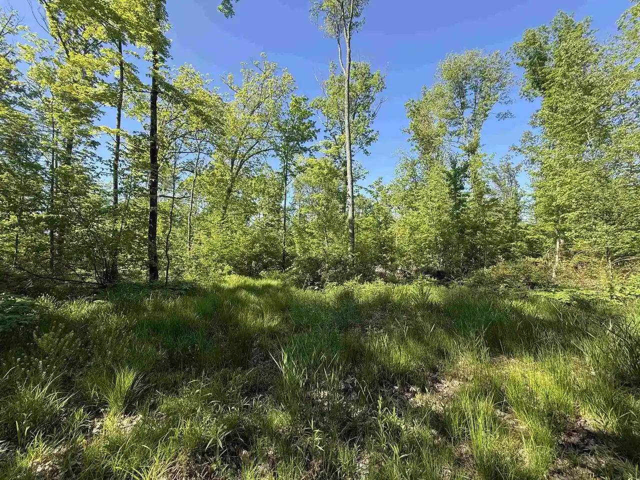 Homes for sale in Bonduel, WI | N5610 Resort Road Road, Bonduel, WI 54107 | MLS# 50326941