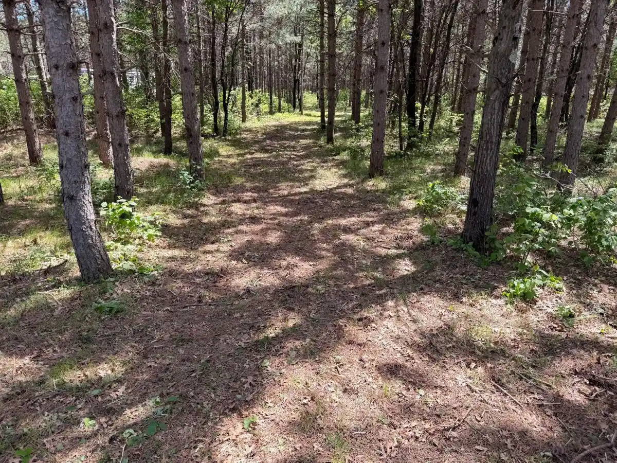 Homes for sale in Nekoosa, WI | 000 Apache Avenue Avenue, Nekoosa, WI 54457 | MLS# 2025205